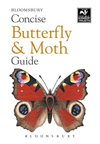Concise Butterfly & Moth Guide (The Wildlife Trusts)