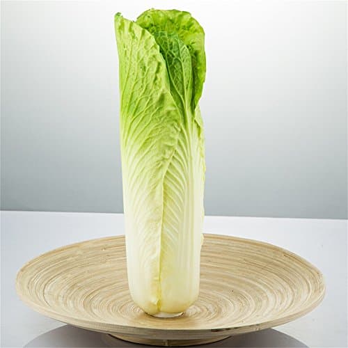 RoudLove Simulation Cabbage Artificial Vegetable Realistic Display Plastic Decorative Lifelike Decor Fake Vegetable Home Party Festival Decoration Props