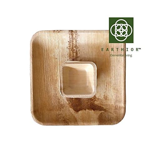 Combo of 10 Square Eco friendly Appetizer Plates & Dip Bowls disposable & multi-use party plates by EARTHIOR