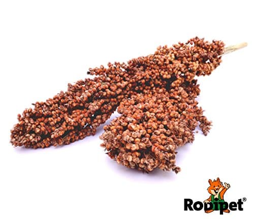 Rodipet® Sorghum Sprays – 200 g