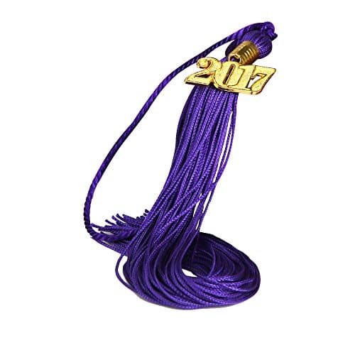 YiCol 2017 New Version Graduation Tassel 9-inch with Gold 2017 Year Charm (Purple, Polyester)