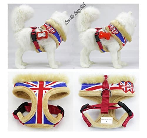 Dog / Puppy Harness , Adjustable Harness with LED Flashing Light (Luv To Buy Brand )(Size from S to 8XL) ( 2XL=( Neck 39cm ) ( Chest Strap 55cm ) (Back 19cm))