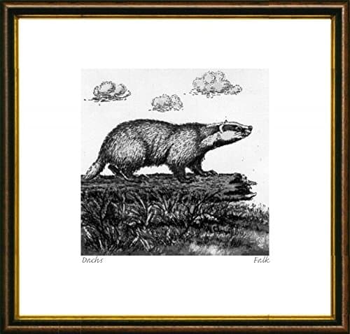 Single-colored etching Dachs by Falk in a brown-gold frame, graphics, art design, art print
