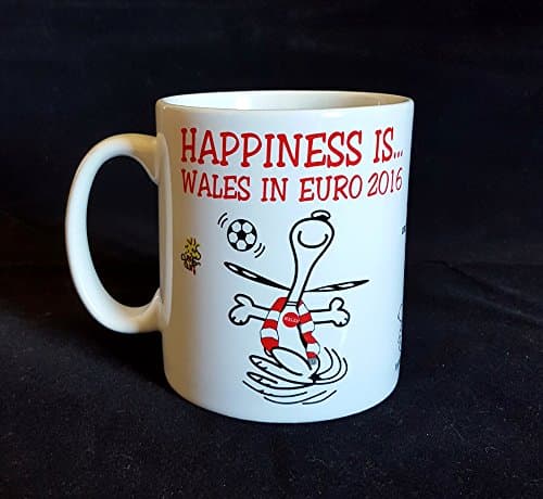 Wales Euro 2016 - Happiness is...