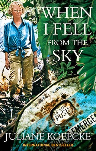 When I Fell From The Sky: The True Story of One Woman's Miraculous Survival