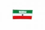 Somaliland Country Flag Small Iron on Patch Crest Badge .. 1.5 X 2.5 Inches ... New