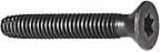 5/16-18X2 1/2 Torx Floor Board Screw (25 Count)