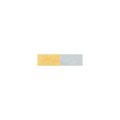 Smooch Pearlized Accent Ink, 2-Pack, Gold Lame and Silver Fox
