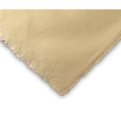 Shizen Deckle Edge Cardstock Paper - 200 gsm Ivory - 9731731 E