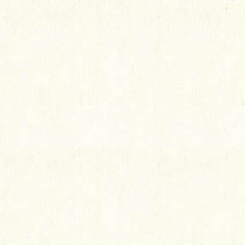 Light Ivory Background Fabric, Everyday Organic Solids, Clothworks, By the Yard