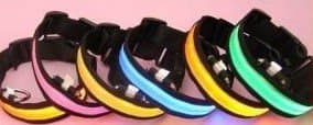 LED Dog Collar - Customized Packaging - Small, Medium, Large Size - Different Colors - SAFE