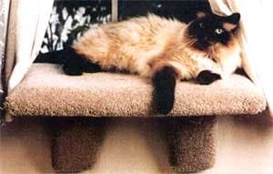 Extra Large Padded Cat Window Perch : Color SPECKLED SAND : Size EXTRA LARGE PERCH