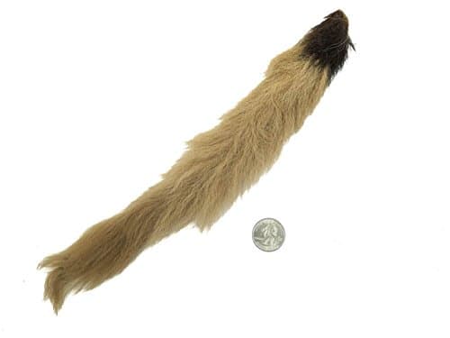 Chichester Inc Real Calf Tail Fly Tying