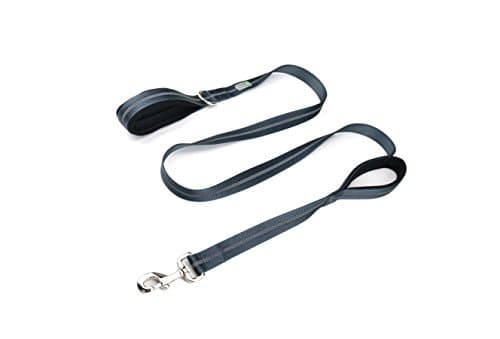 DCbark Dual Handle Lead, Double Padded Traffic Handle Dog Leash, Reflective Leash with 2 Comfortable Handles