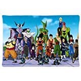 New Unique Dragon Ball Z Custom Rectangle Pillow Case Cover 20 inch x 30 inch one side