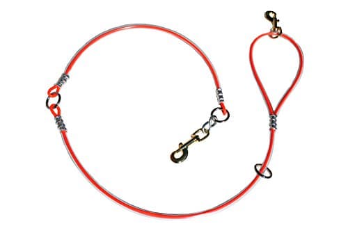 5' Cable & Cable Dog Leash Tree Tie Lead with O Ring (Orange)