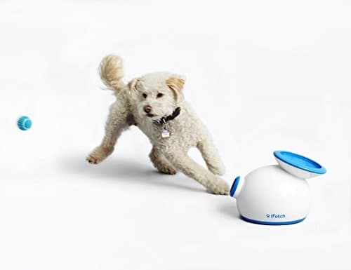 iFetch (Small) Interactive Ball Thrower for Dogs- Launches Mini Tennis Balls by iFetch