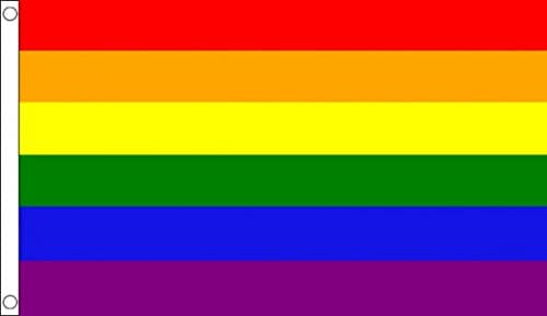 HUGE!!! 8ft x 5ft (240 x 150 cm) Gay Pride March Rainbow Multi Coloured 100% Polyester Material Flag Banner Ideal For Pub Club School Festival Business Party Decoration