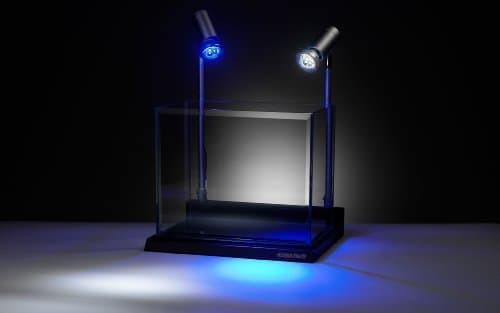 Schuber Wright Crustacean Star Day Rimless Aquarium, 4-Gallon