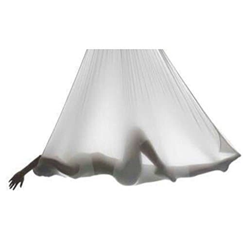 MHSH 8Color Size 5×2.8m(width)/5.5×3yards Anti-Gravity Arial Yoga Swing Hammock Pilates bodybuilding Fitness Inversion therapy with Carabiner Daisy Chain and Ceiling Bolts Silk Nylon Fabric (White)