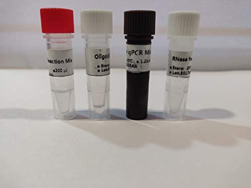 SYBR Green qRT-PCR Kit_50 Reactions