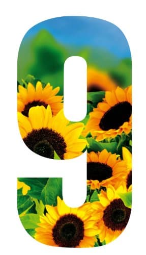 Wheelie Bin Number Sunflower 9
