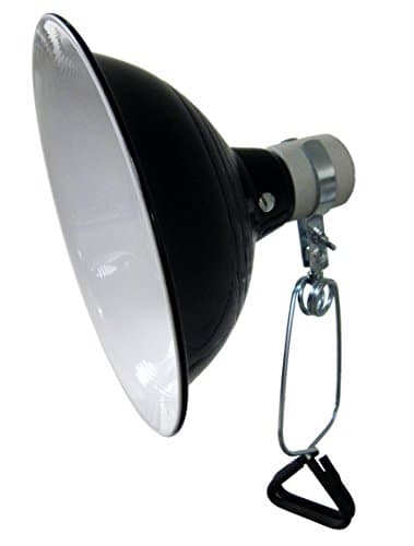 Terra Blue Professional - 75 Watt 5.5" Clamp Lamp - 6 Foot Cord and On/Off Switch - UL Ceramic Socket (5.5 Inch)