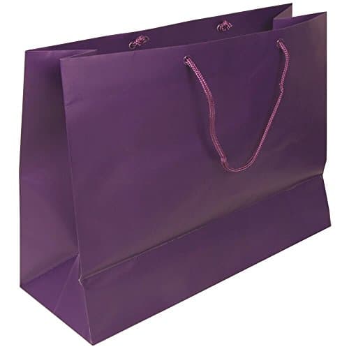 JAM Paper Gift Bag - Large Horizontal - 16" x 12" x 6" - Purple Matte - Sold Individually