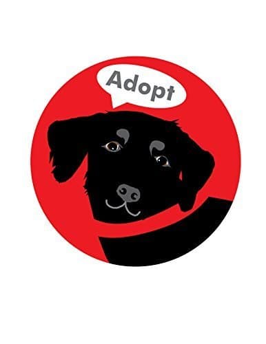 Adopt Bumper Sticker Black Labrador Retriever Dog