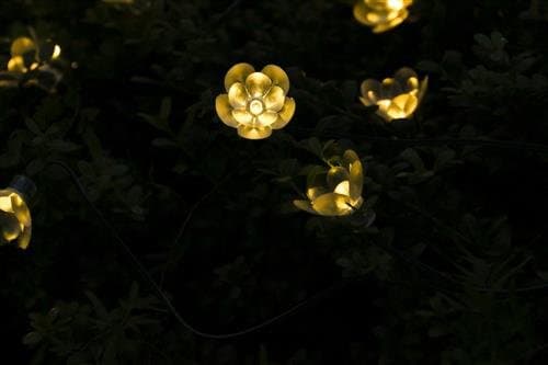Solar Stringlight with 30 Lutos Warm White for Gardens,homes,outdoor,christmasparty