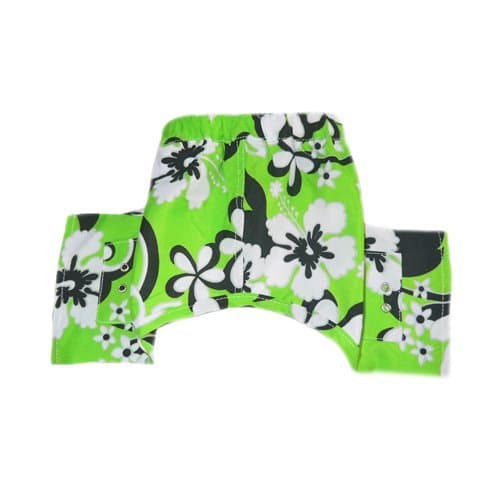 Large Pattaya Dog Swim Trunks