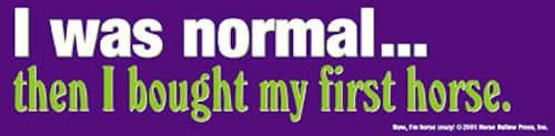 I was normal then I bought my first horse Bumper Sticker