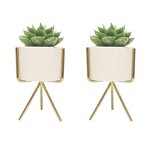Succulent Pots with Iron Rack Stand - Set of 2 - White Modern Decorative Ceramic Planter Pot with Drainage - Home Office Desk Garden Mini Cactus Pot Indoor Decoration (Golden-1)