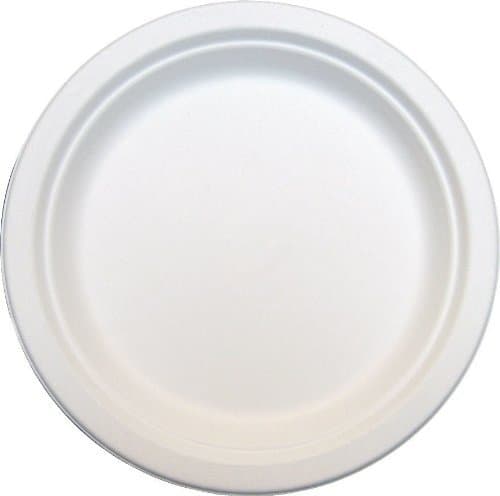 125 x Round 10" Strong Paper Plates Biodegradable Bagasse Disposable for Dinner and Starter Side - 25cm Diameter