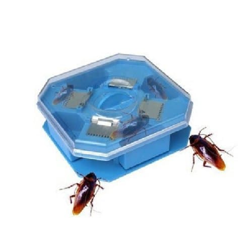 BoatShop Convenient Repeated Usage Cockroach Trap Pest Killer Catcher