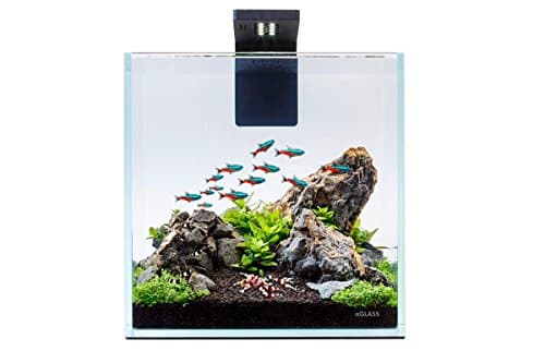 NANO SET - Aquarium Setup Kit with LED Lighting and Power Filter, 2,7 Gallon (10L) from ultra-transparent glass