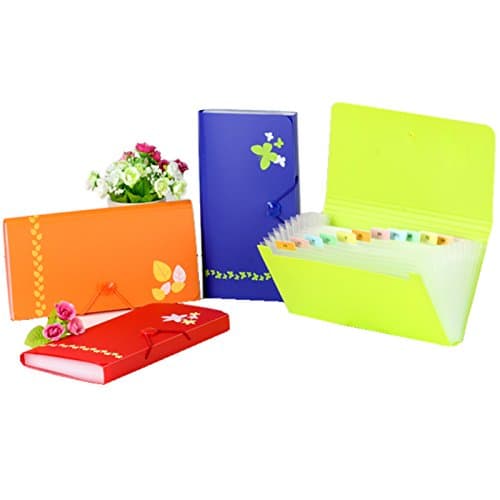 KINARY 13-Pocket Poly Expanding File, 10.23 x 5.39 Inches, Junior Size for Receipts and Checks, Includes Tabs (set of 4)