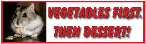 Vegatables First. Then Dessert. Hamster; Bumper Sticker