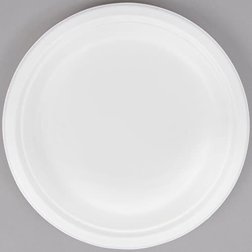 Natural Recyclable Biodegradable Disposable Paper Dinner Plates. Tableware Supplies Made From Sugar Cane (125 Bulk Pack)