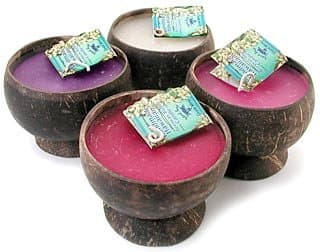 Hawaiian Coconut Shell Candle - Coconut