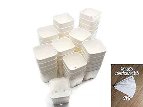 Fancyte Seedling Starter Pots, 50 Pack, Whi 2 Inch Square Tray Inserts by Bootstrap Farmer ,10 Plant Labels Seed Starting No.2