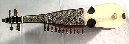 Rabab, professional quality, WITH PLECTRUM, designer, with hard board case