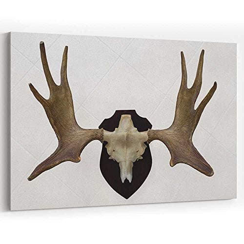 Moose Antlers with Skull and Wall Mount Canvas Art Wall Dector for Modern Home Decor