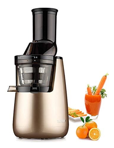 Masticating Juicer 250W Wide Chute Juicer,Slow Juicer, Cold Press Juicer, Whole Fruit & Vegetable Juicer, Vertical Low Speed Masticating Cold Press Slow Juicer (Champagne)