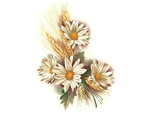 4263 Daisies & Wheat Waterslide Ceramic Decals By The Sheet (2 1/2" X 2" 12 pcs)