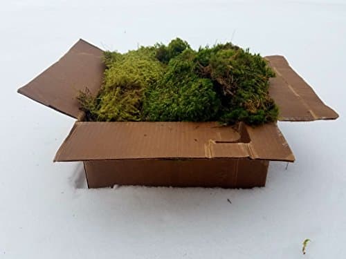EZ Trading Super Assorted Mixed Mosses (1 Cubic Foot)