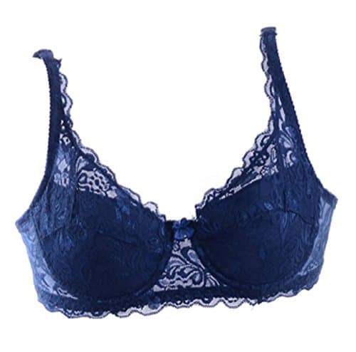 Herina, Sexy Lace Plus Size Bra Push Up, Big Size 3/4 Cup Underwire intimates push up bra ladies lingerie lace transparent. (36B, Blue)