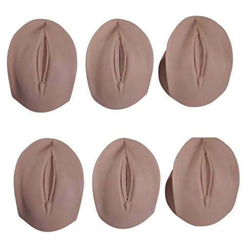 Advanced prenatal Cervical Change and Birth Canal Model, Relationship Between fetal Head and ischial Spine Plane Position, Used for Nursing Training Model