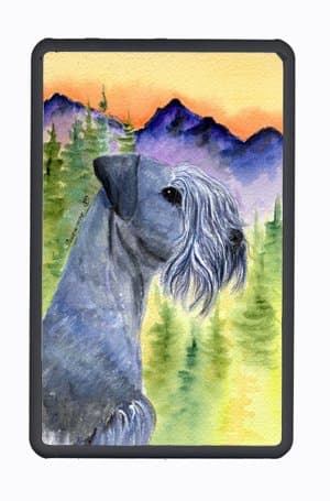 Carolines Treasures SS8232KFC Cesky Terrier Kindle Fire Snap on Case