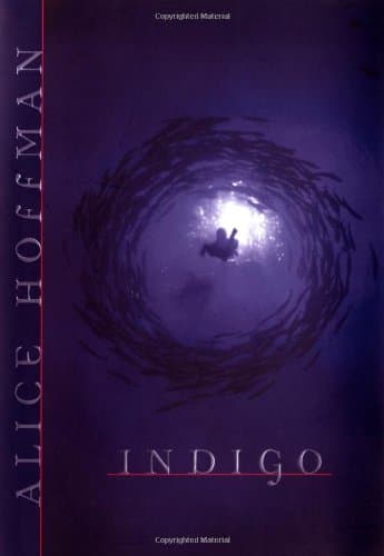 Indigo Hardcover – 1 Apr 2002